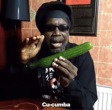 Cucumber Gif Cucumber Discover Share Gifs