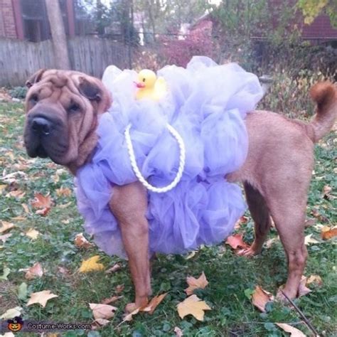 The Best Homemade Dog Halloween Costumes Crafty Morning