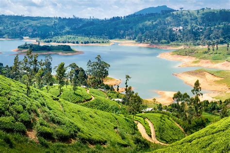 Sri Lanka Tourism Launches Tour Packages For Indian Travellers Times