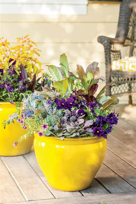 This crop is economical to produce and stands out in spring and summer assortments. Summer Container Gardens We're Obsessing Over - Southern ...