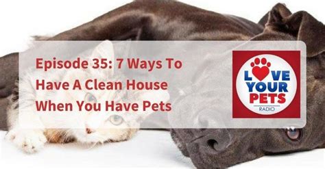 See more of find my pet a home on facebook. Episode 35: 7 Ways To Have A Clean House When You Have Pets