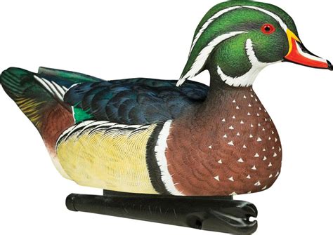 Wood & teal decoys (1) activity. The 14 Best Decoys - Duck reviews in 2019