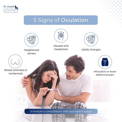 5 Signs Of Ovulation Dr Joseph Leveno