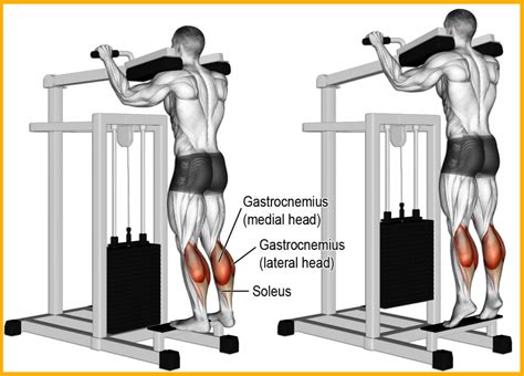 Calf Workouts At Home At Home Leg Day Click To View And Print This