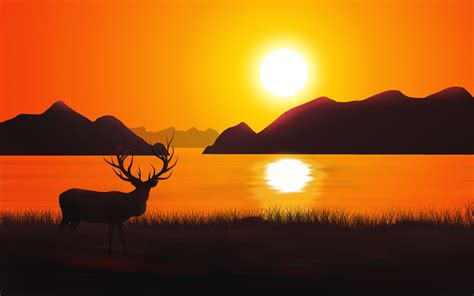 Sunset Deer Silhouette 4k Wallpapers Hd Wallpapers Id 25094