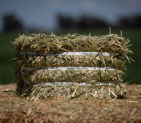 Compressed Premium Oaten Hay Multicube Hay And Cube