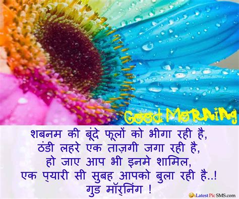 Here, we have selected some beautiful good morning wallpapers in hindi of god images, shayari wallpapers, morning quotes pictures that will cheer up your day or the one you send it for sure. Good Morning Quotes in हिन्दी | Latest Picture SMS
