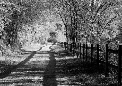 Country Road Black And White Photograph By Anne Barkley Fine Art America