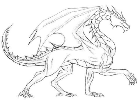 Tutorial Dragones Para Colorear Dibujo De Dragón Dragones