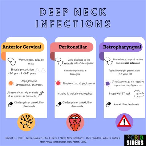 47 Deep Dive Into Deep Neck Infections With Dr Travis Crook The