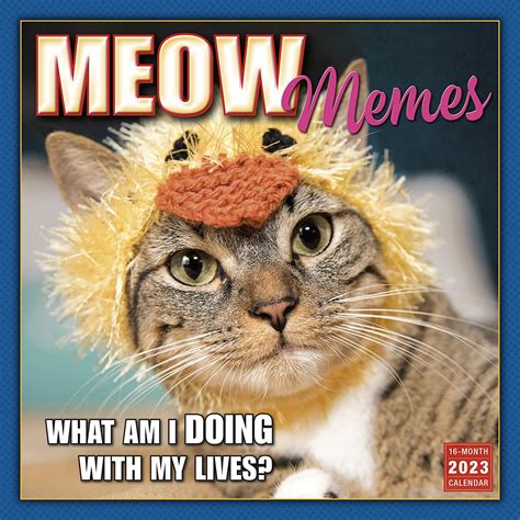 Meow Memes 2023 Wall Calendar 16 Month Cat Calendar 12 X