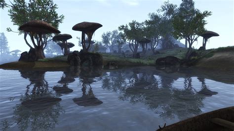 Check spelling or type a new query. Morrowind Landscape Level Design at Skyrim Special Edition Nexus - Mods and Community