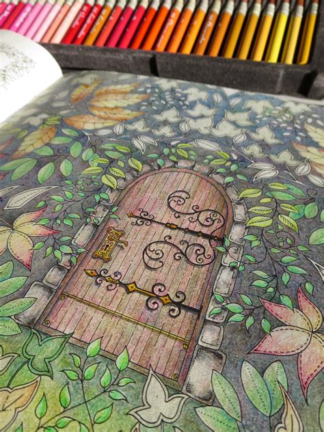 So there we have it, an explanation for why colouring books are so popular and if you are looking for one to get you started, secret garden by johanna basford is one of the most popular and for good reason! My Secret Garden colouring book, part 3