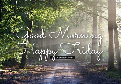 Good Morning Forest Friday Pictures Photos And Images For Facebook
