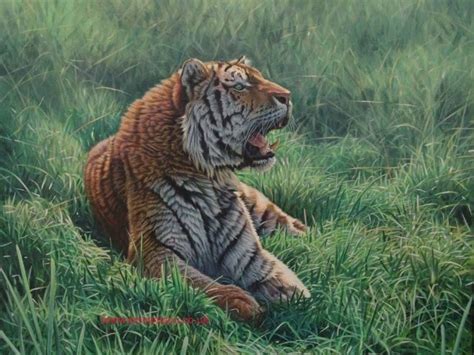 Pastel Painting Eric Tiger Painting Tiger Artwork Tiger Art