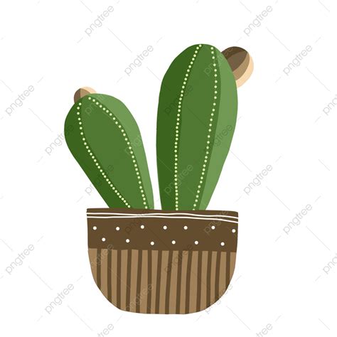 Cactus Plants Hd Transparent Cactus Plant Plant Green Cactus Cactus