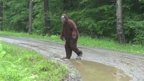 Bigfoot Caught On Tape The Best Video Evidence Ever Youtube