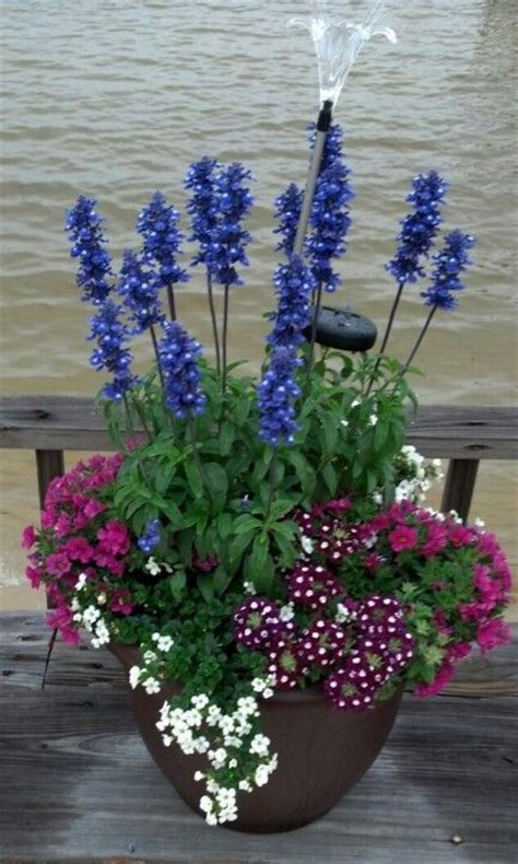185 Best Mixed Flowers For Pots By Pool Images On Pinterest