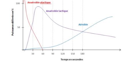 Aérobie Anaérobie Lactique Anaérobie Alactique Explications