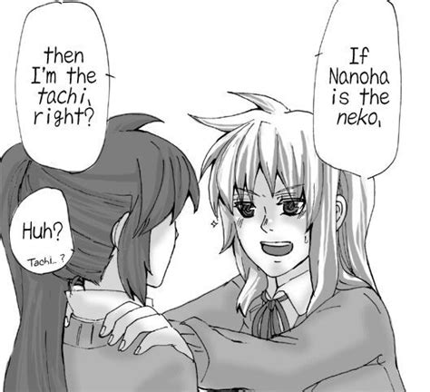 Tachi And Neko Anime Amino