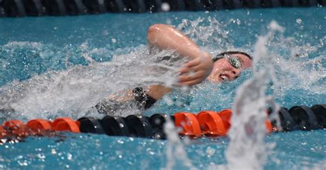 Images Finals At The State Final Meet In Girls Swimming And Diving