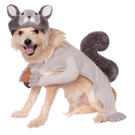 Squirrel Dog Costume With Same Day Shipping Baxterboo