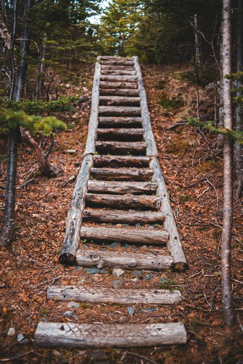 Old Wooden Stairs On Hill Slope In Forest · Free Stock Photo