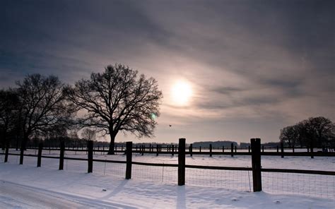 Snow Fence Nature Winter Trees Wallpapers Hd Desktop And Mobile