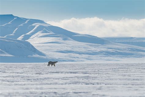 8 Of The Best Places For An Arctic Adventure