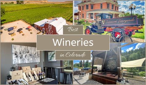 11 Best Wineries In Colorado Coloradospotter