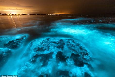 Mesmerizing Photos Of Bioluminescent Algae Off The Coast Of Australia