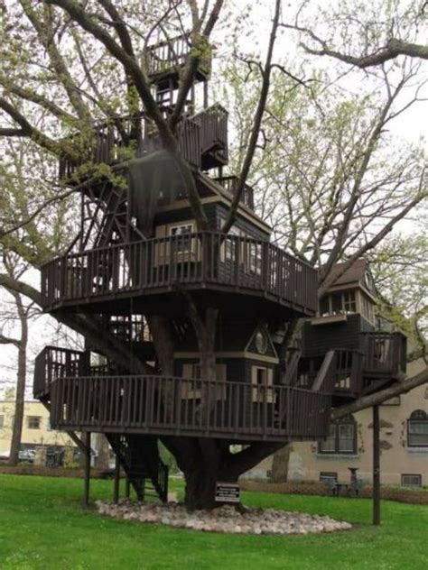 Dream Treehouses We Could Happily Live In To Avoid Responsibilities