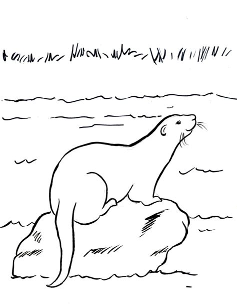 River Otter Coloring Page Art Starts