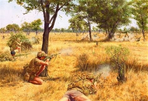 Rhodesian Bush War ~ Everything You Need To Know With Photos Videos