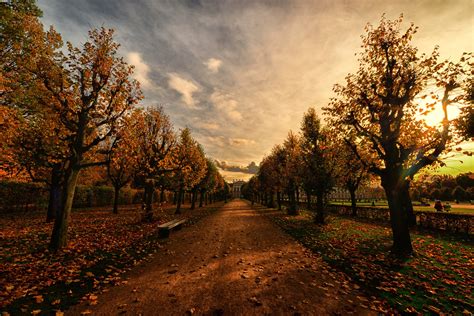 Autumn Trees Path Hd Nature 4k Wallpapers Images