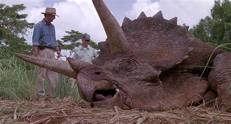 Triceratops Park Pedia Jurassic Park Dinosaurs Stephen Spielberg