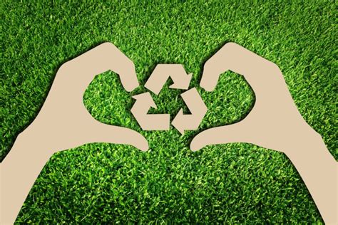 5 No Fail Solutions To Get Started Going Green