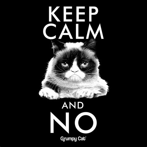 Calm Grumpy Cat