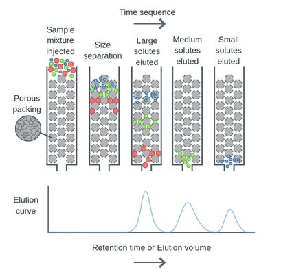 Ways To Make Size Exclusion Chromatography A More Approachable Topic