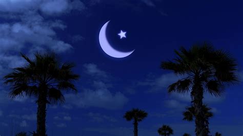 Ramadan Kareem Night Moonlight Among Palm Stock Footage Sbv 308643390
