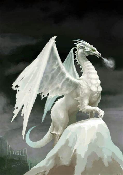 White Dragon Fantasy Dragon Snow Dragon Dragon Pictures