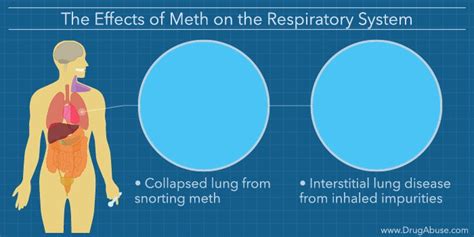 Effects Of Meth On The Body What Does Meth Do To Your Body