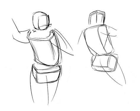 How To Draw The Torso Easier An Illustrated Guide Gva