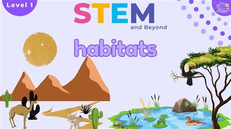 Habitats Science For Kids Stem Home Learning Youtube