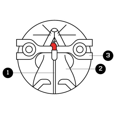 Diagram Taste Buds Aflam Neeeak