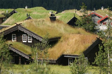 Norwegian Grass Roofs Photograph By Jessica Rose Pixels