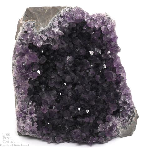 Amethyst Crystal Cluster Stand-Up from Uruguay - The Fossil Cartel