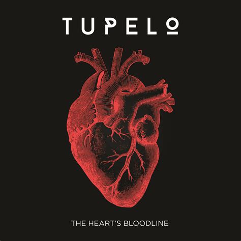 Celtic Note — Tupelo Push On