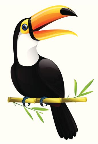 A Bird Called A Toucan Sitting In A Twig Stock Vector Art
