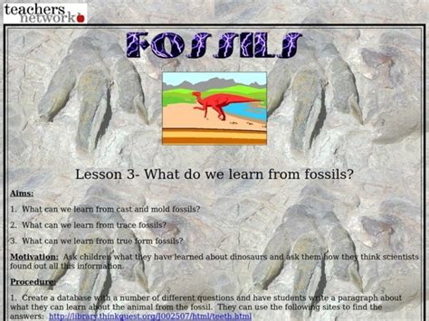 What Do We Learn From Fossils Lesson Plan For 3rd 6th Grade Lesson Planet